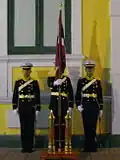 RTNA cadets guarding the colours.