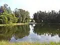Sydney Park wetlands