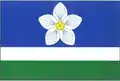Flag of Vílanec