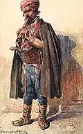 Dalmatian highlander