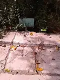 Via Augusta
