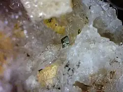 Vaesite