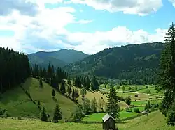 Sabasa