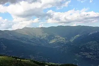 Vejce