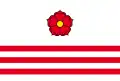 Flag of Větřní
