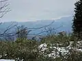 View from partway up the mountain.