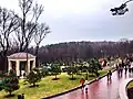 Park surrounding Honka