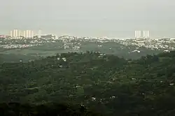 View from tower