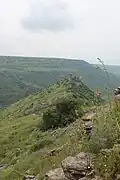 Gamla in springtime