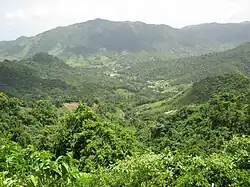 View from Muñoz Rivera