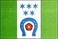 Flag of Vitín