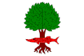 Flag of Litostrov