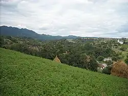Vărmaga