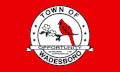 Flag of Wadesboro, North Carolina