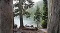 Fir trees dominate the landscape around Wasco Lake.