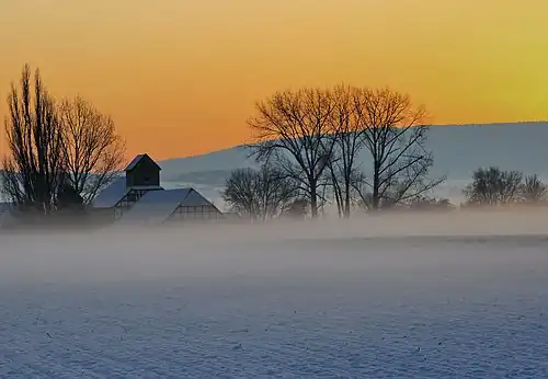 Ground fog (January 2020)