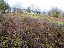 Watts Bank