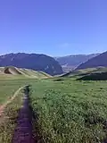 Wheat farms near Sheykh Makan
