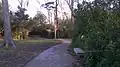 Trail