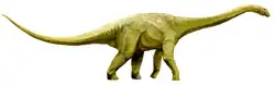 Wintonotitan wattsi