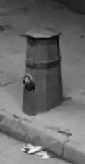 Old style wooden "fire plug" still in use c. 1900