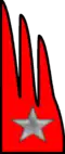 "Piemonte Reale Cavalleria"