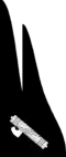 CC.NN troops