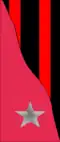 13th Infantry Division "Re" medics