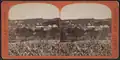 Stereoscopic view