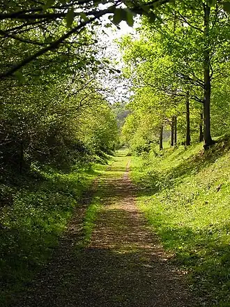 Wye Valley Walk