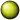Gonzaga