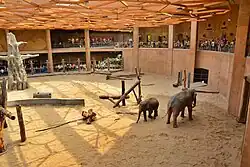Elephants pavilion