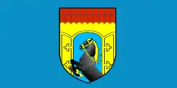 Flag of Zelva district