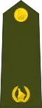 Major (Zimbabwe National Army)[98]