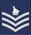 (Air Force of Zimbabwe)[8]