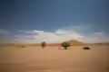 Road to Dead Vlei